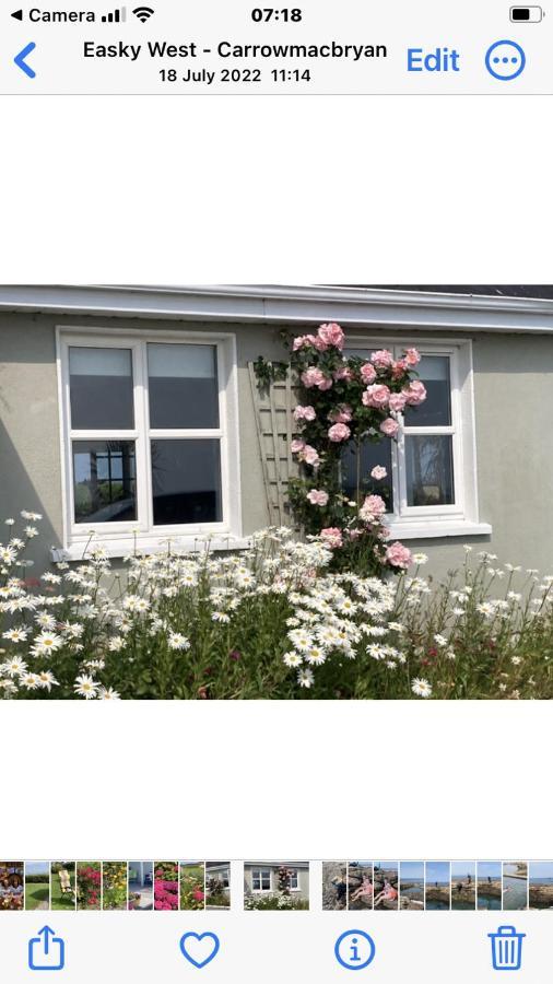Wild Atlantic View Bed and Breakfast Sligo Exteriör bild