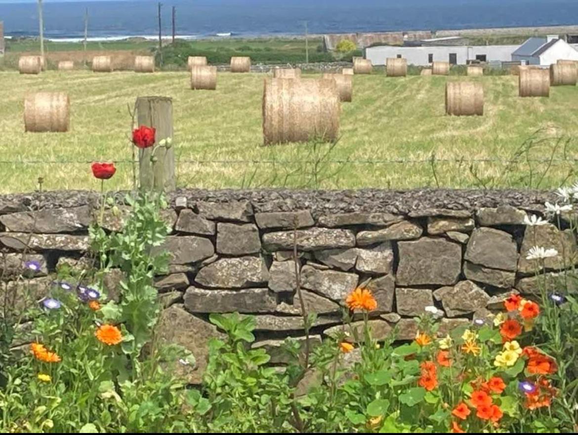 Wild Atlantic View Bed and Breakfast Sligo Exteriör bild